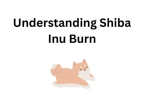 Understanding Shiba Burns