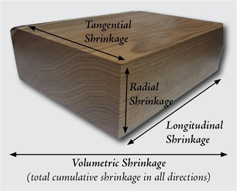 Understanding Shrinkage