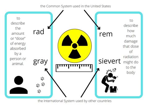 Understanding Sievert and Gray