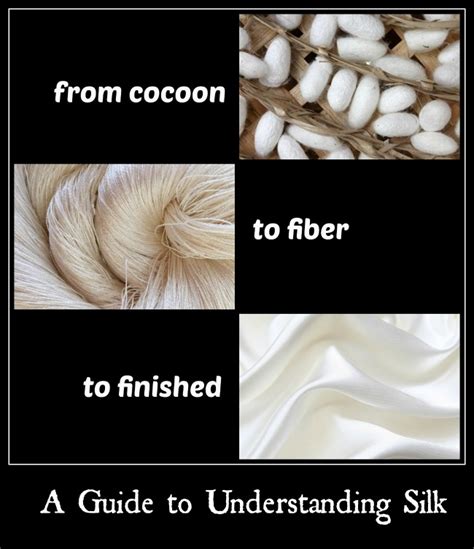 Understanding Silk's Delicate Nature