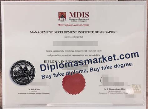 Understanding Specialist Diplomas in Singapore