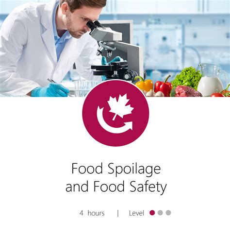 Understanding Spoilage and Food Safety