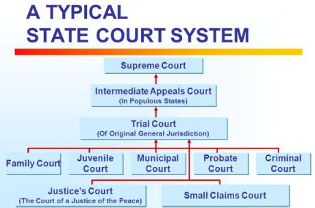 Understanding State Court Hotlines