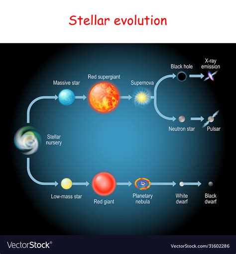 Understanding Stellar Evolution: