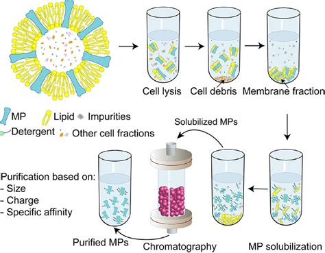 Understanding Sterile Protein Concentrators