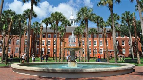 Understanding Stetson University's Acceptance Rate: A Comprehensive Analysis