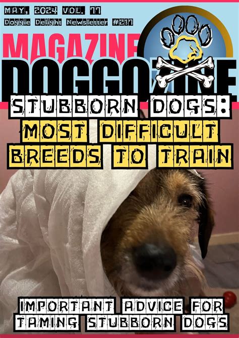 Understanding Stubborn Dogs: A Scientific Perspective