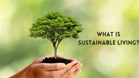 Understanding Sustainable Living