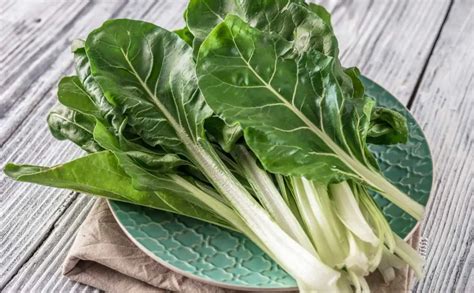 Understanding Swiss Chard: A Nutritional Powerhouse