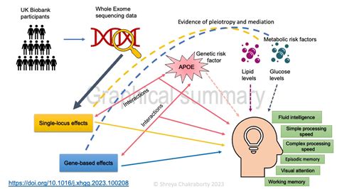 Understanding TCFGB1A107M8R: A Genetic Catalyst for Cognition