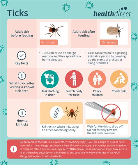 Understanding Tick Medications