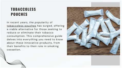 Understanding Tobaccoless Nicotine Pouches