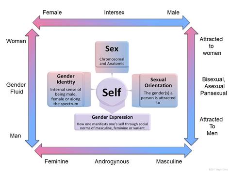 Understanding Transgender Entertainment