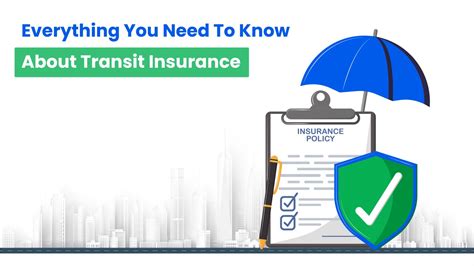 Understanding Transit Insurance Needs in Brooklyn