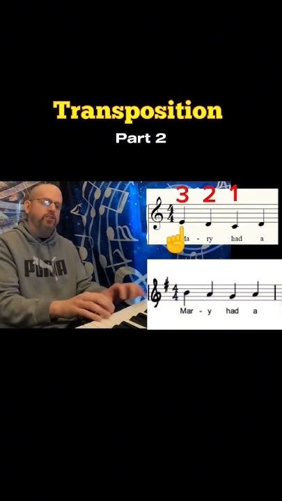 Understanding Transposition