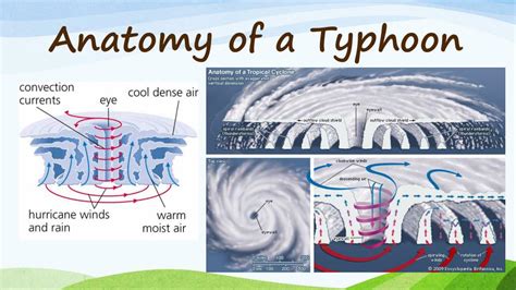 Understanding Typhoons (1/10): The Anatomy of a Storm