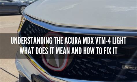 Understanding VTM-4 Light