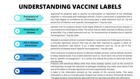 Understanding Vaccine Verification