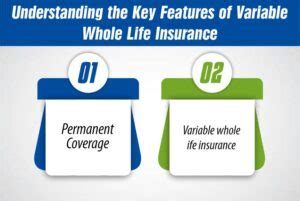 Understanding Variable Whole Life Insurance