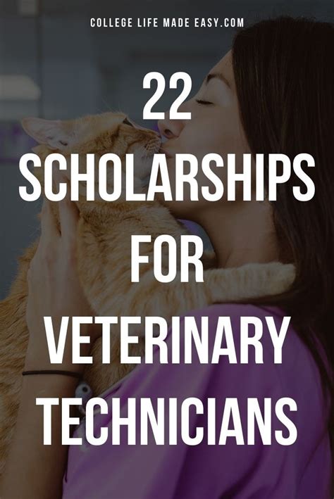 Understanding Vet Tech Scholarships