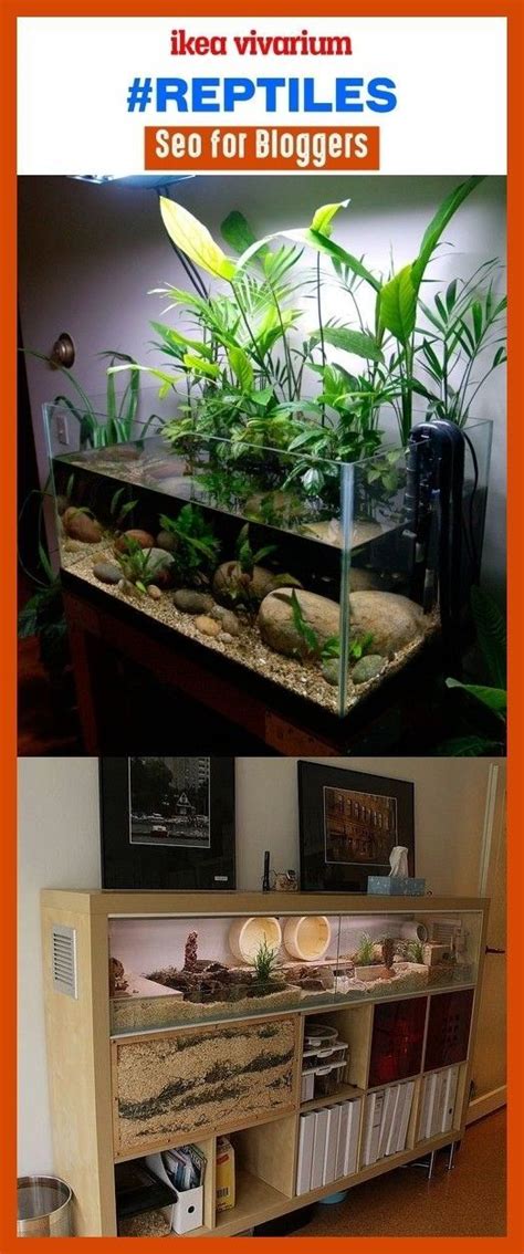 Understanding Vivariums