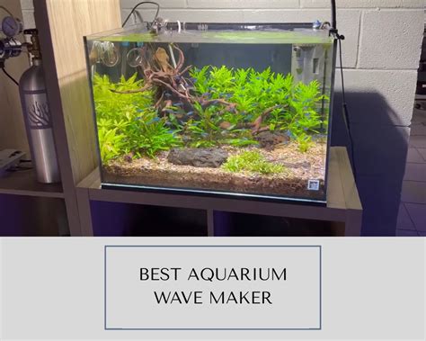 Understanding Wave Maker Aquariums