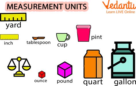 Understanding Weight Measurement Units