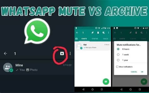 Understanding WhatsApp Archives