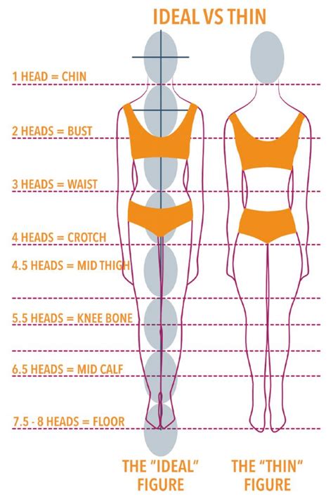 Understanding Your Body Shape and Proportions