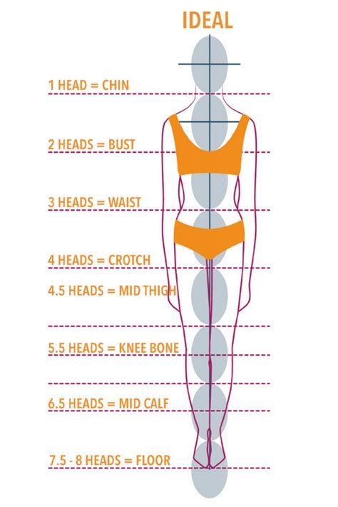 Understanding Your Face Shape and Body Proportions