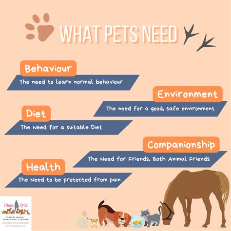 Understanding Your Pet's Healthcare Needs