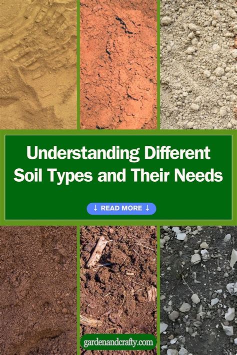 Understanding Your Soil's Unique Needs