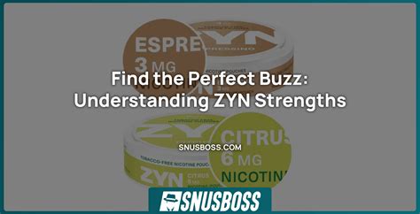 Understanding ZYN Strengths