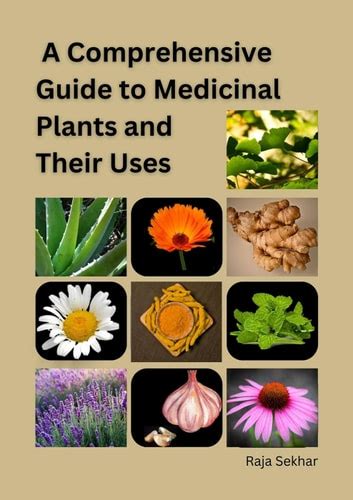 Understanding pkillaah: A Comprehensive Guide to the Plant's Medicinal Properties and Uses