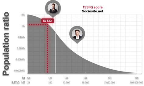 Understanding the 133 IQ Test