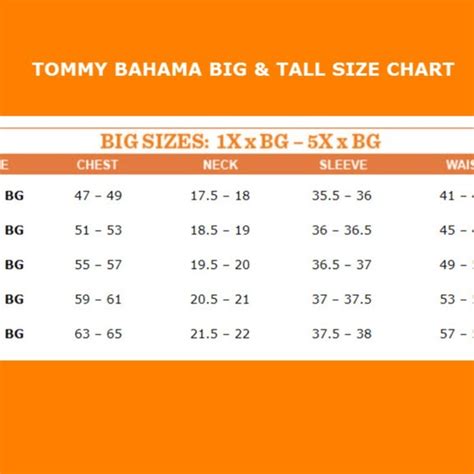 Understanding the 3XB Size Meaning