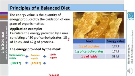 Understanding the 65/2 Diet Principles