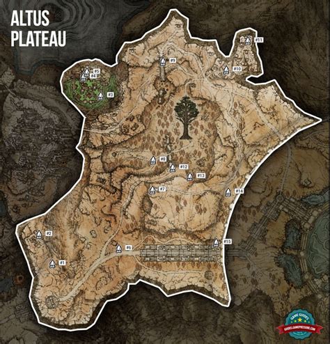 Understanding the Altus Grace Map