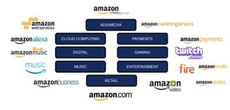 Understanding the Amazon Ecosystem