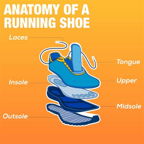 Understanding the Anatomy of Athletic Sneakers