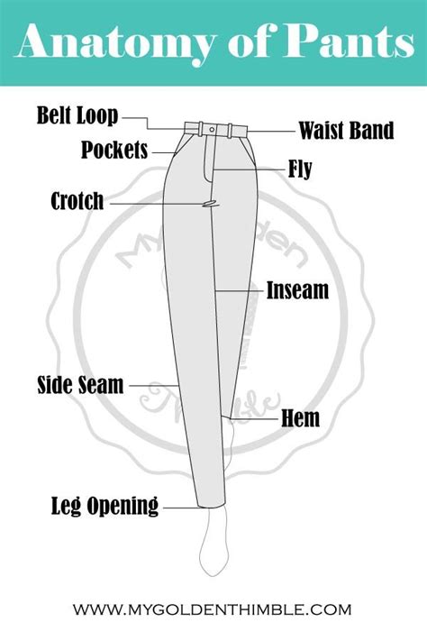 Understanding the Anatomy of Shorts