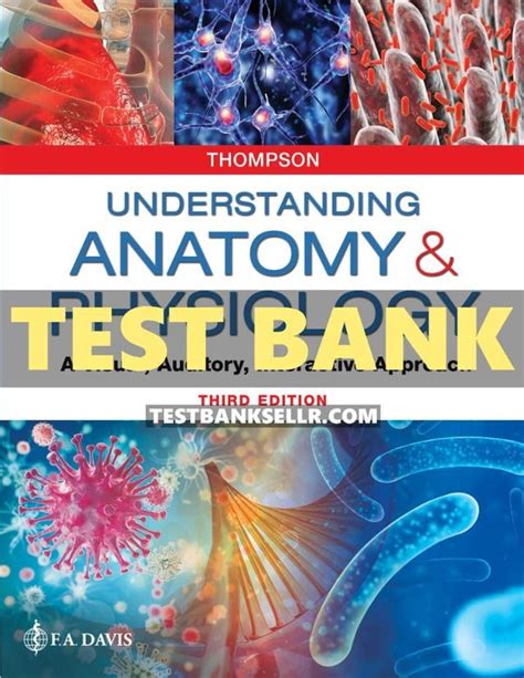 Understanding the Anatomy of Tests