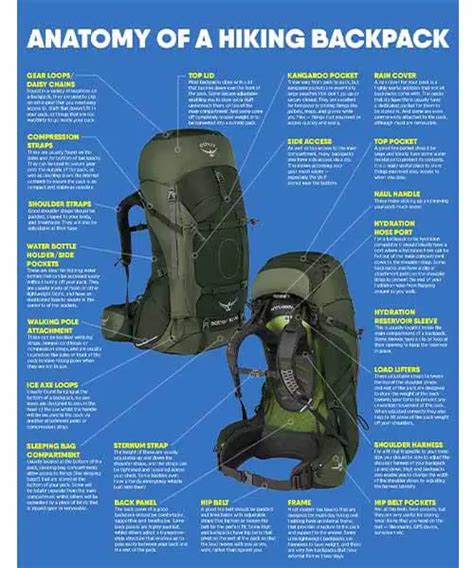 Understanding the Anatomy of a Laptop Backpack