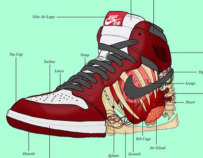 Understanding the Anatomy of an Air Jordan