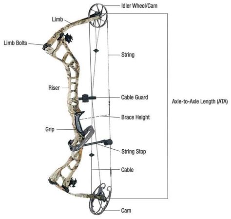 Understanding the Anatomy of an Arrow Bow Prop