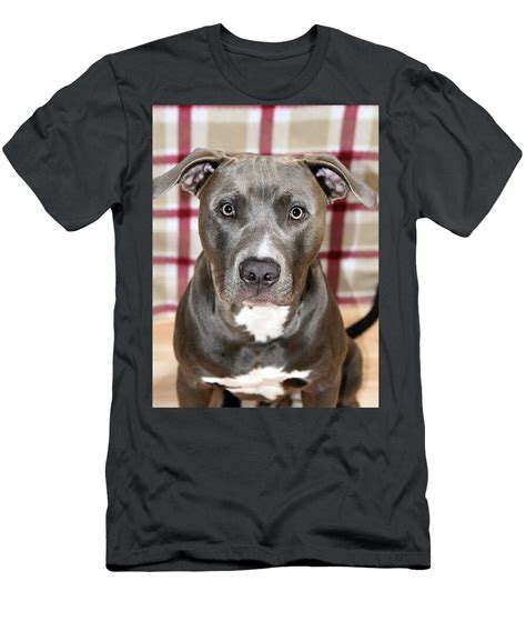 Understanding the Appeal of Pit Bull Shirts