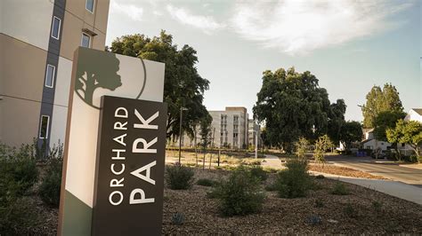 Understanding the Art Credit System at UC Davis