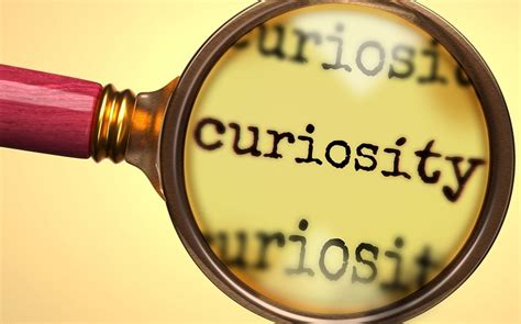 Understanding the Art of Piquing Curiosity: A Guide for Businesses