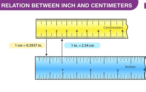 Understanding the Basics: Inch vs. Point