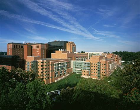 Understanding the Baylor College of Medicine Acceptance Rate